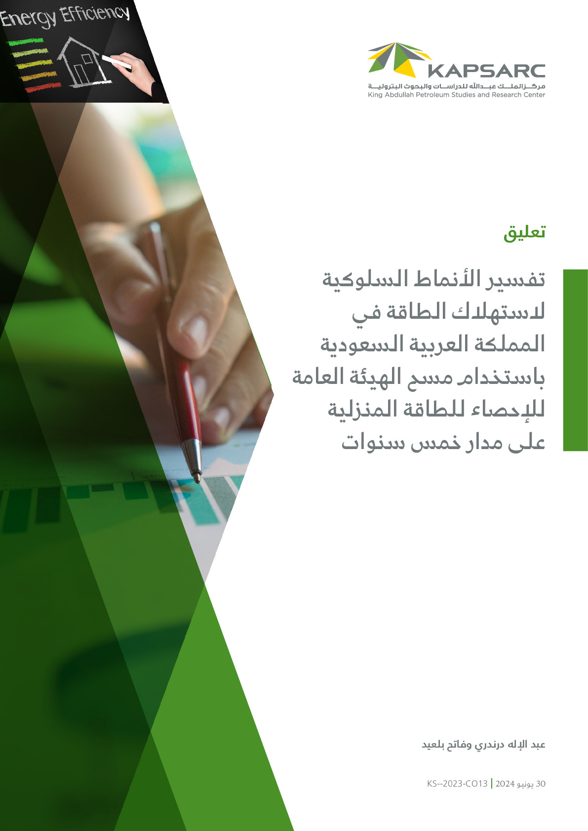 Decoding the Behavioral Patterns in Saudi Arabia from GASTAT’s Five-Year Household Energy Statistics Survey (2)