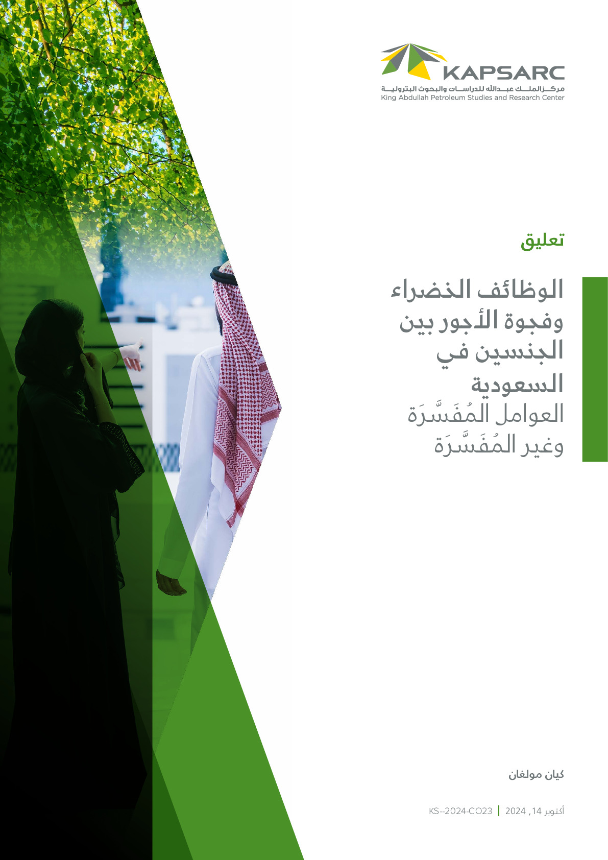 Green Jobs and the Saudi Gender Wage Gap: Explained and Unexplained (2)